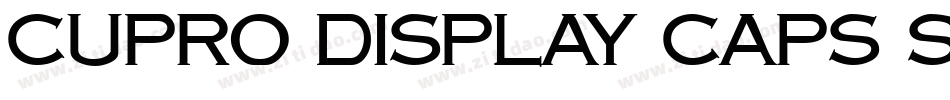 Cupro Display Caps SSi字体转换